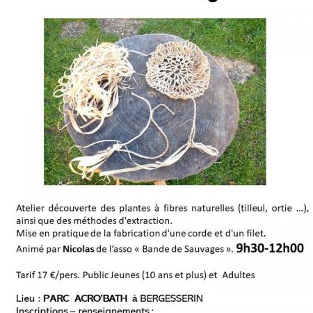 Atelier cordage en forêt