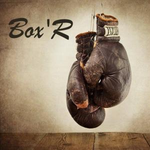 BoxingClubDuClunisoisBoxR2_boxrcluny.jpg