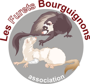 lesfuretsbourguignons2_logo-furets-bourguignons.png